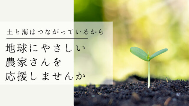 丸底から始める簡単ネットバッグの編み方 かわいいミニサイズ 海と糸